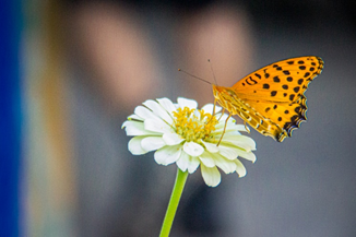 006c0cd0a815452f96895e250b9d944b.png 永利yl23411