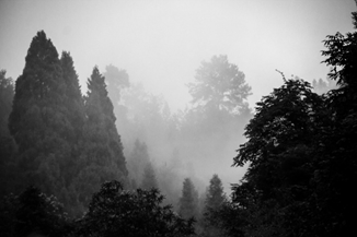 68b33c1f2e3b45bea95d291684148d24.png 永利yl23411