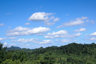 9c3b42df9cec49c6b2861445f919d960.png 永利yl23411