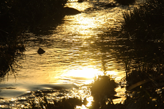 e8aaaac021d64c9b90179dfe3f0c61c7.png 永利yl23411