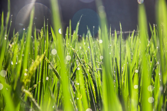 01ae8c9c33c0461bb759801472a88244.png 永利yl23411