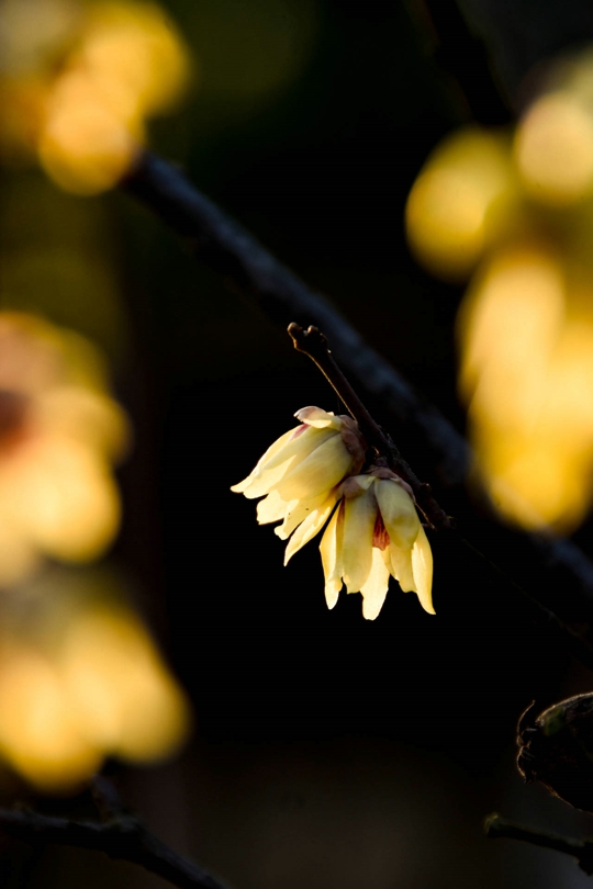 0e616e11b99044b1895fcedcdd7da29f.jpg 永利yl23411