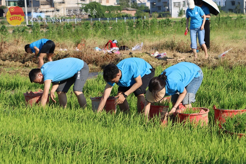 b9d017e6d6ed47218e22c1d62464fd19.jpg 永利yl23411