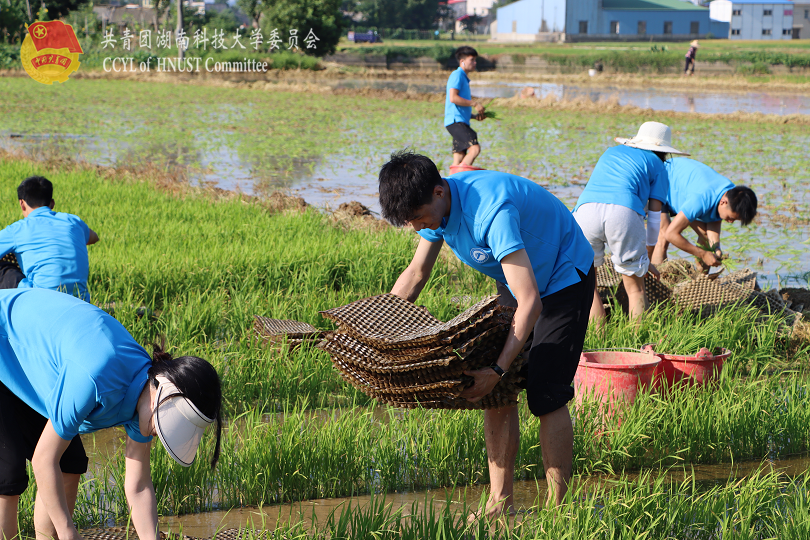 d1dbdb72f47745f49d2e48b2655b689e.png 永利yl23411